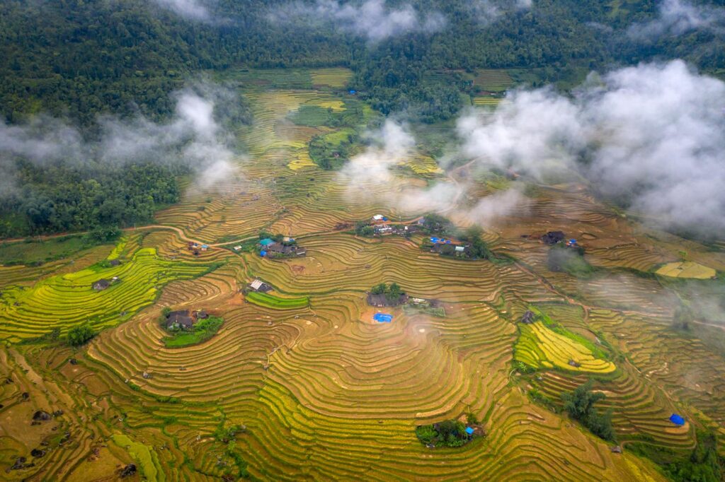 Bức hình tuyệt vời ghi lại vẻ đẹp cánh đồng bậc thang xanh tươi.