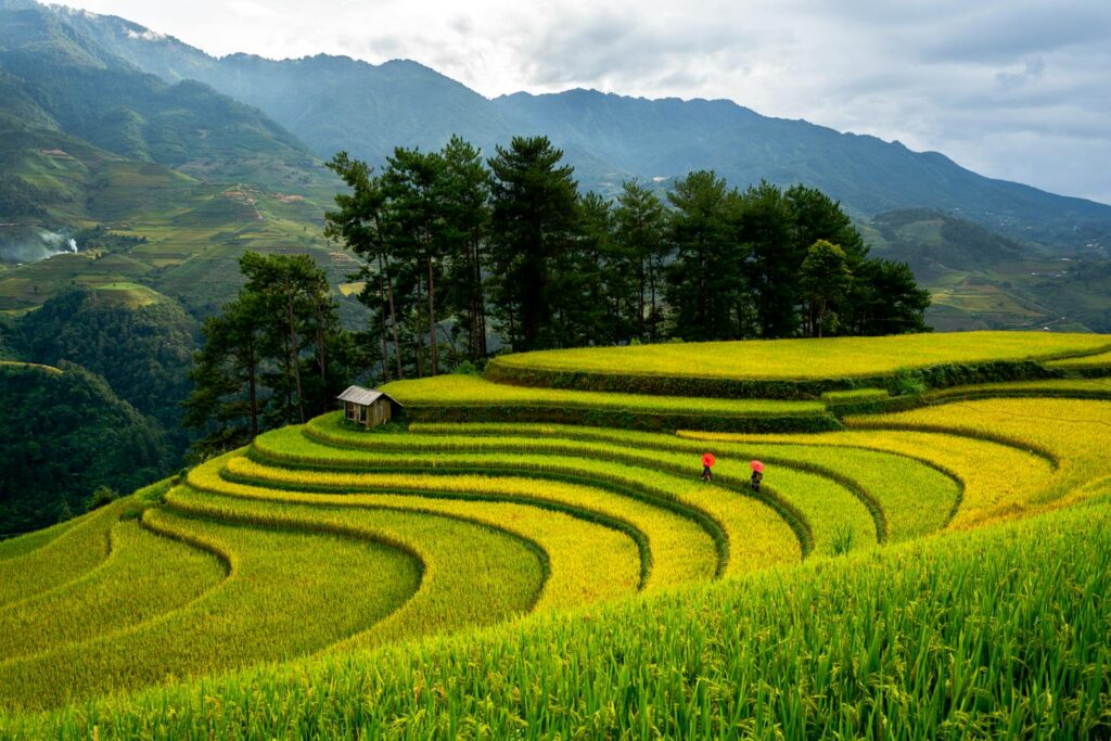 Bức hình khắc họa vẻ đẹp tuyệt vời của ruộng bậc thang giữa núi non.