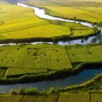 Bức tranh mang đến vẻ đẹp yên bình bên dòng suối Việt Nam.