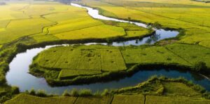 Bức tranh mang đến vẻ đẹp yên bình bên dòng suối Việt Nam.