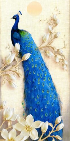 Bức hình chim công rực rỡ sắc màu nổi bật giữa nền xanh tươi mát.