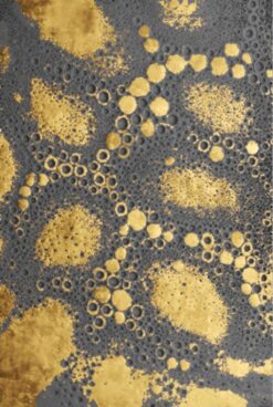 Tấm ảnh trừu tượng với ánh nhũ vàng mang lại sức hút độc đáo.