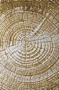 Bức hình trừu tượng với ánh nhũ vàng lấp lánh đầy cuốn hút.